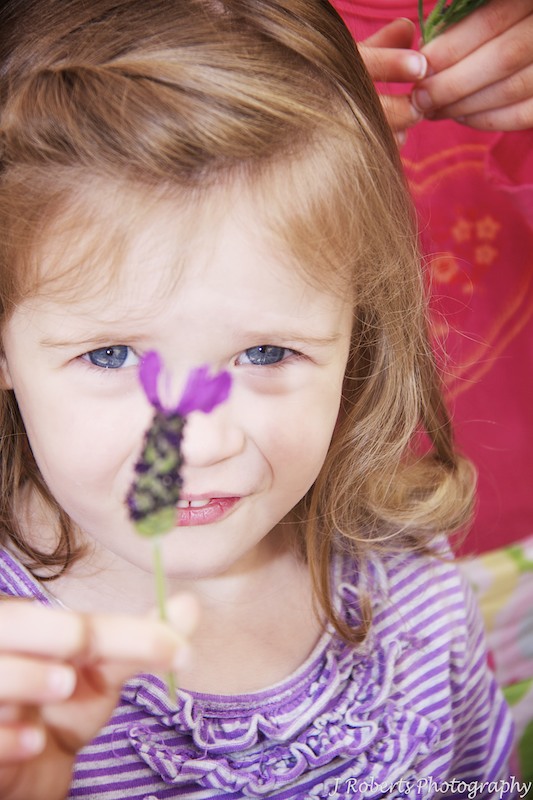 Little girl showing her lavender - family portrait photography sydney